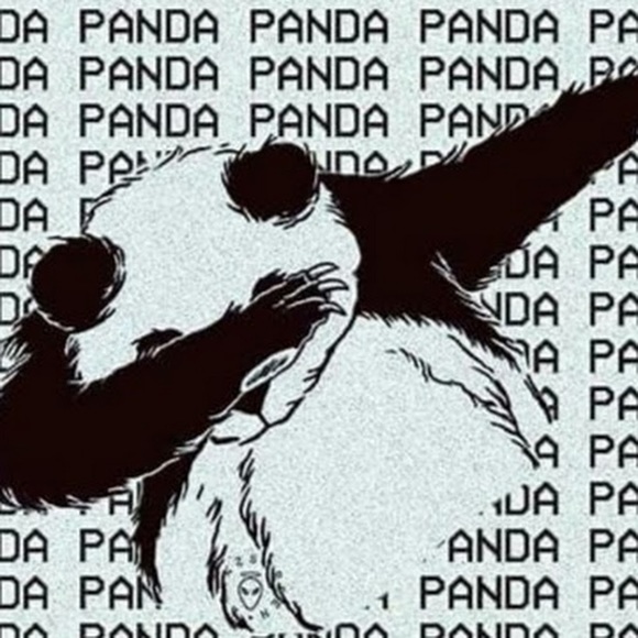 Meet your Posher, Ethan - Picture 1 of 1